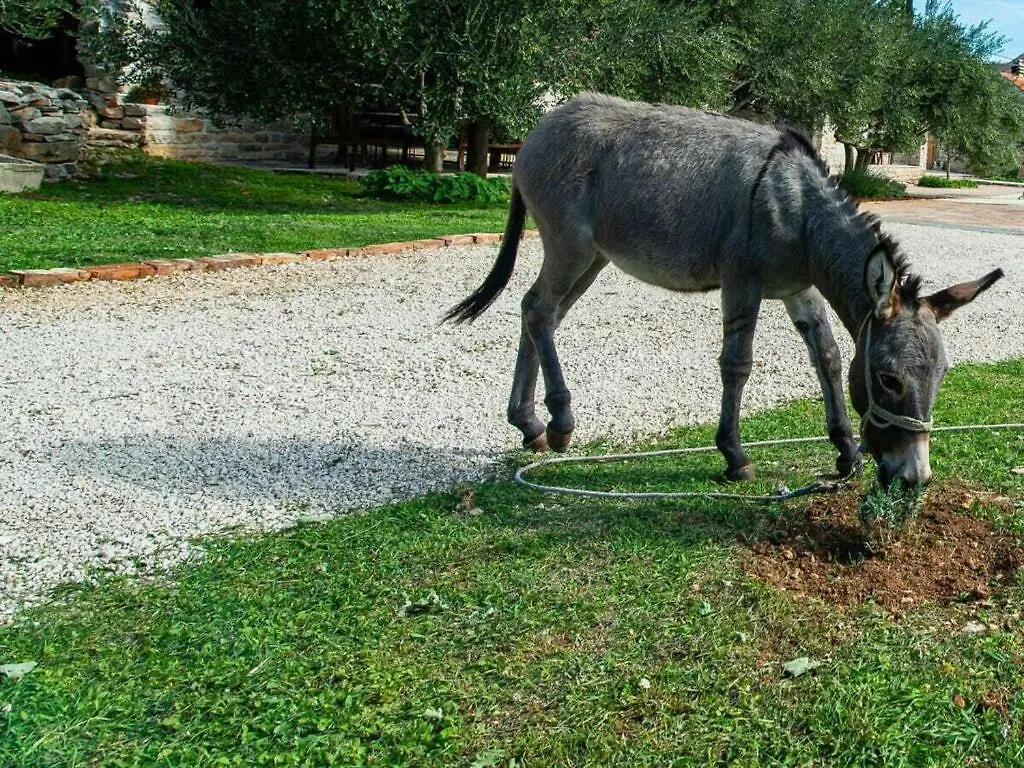 Irena Comfortable Holiday Residence Benkovac 0*,  Croatia